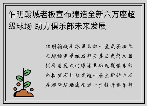 伯明翰城老板宣布建造全新六万座超级球场 助力俱乐部未来发展 伯明翰城老板宣布建造全新六万座超级球场 助力俱乐部未来发展